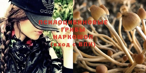 герыч Алексеевка