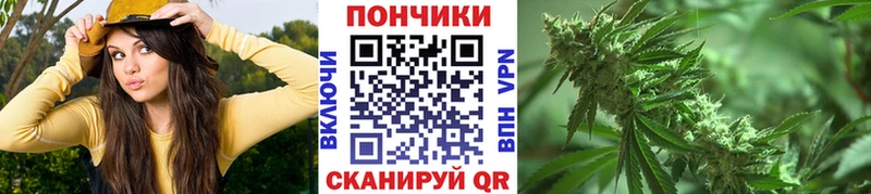 магазин продажи   Бакал  Марихуана ГИДРОПОН 
